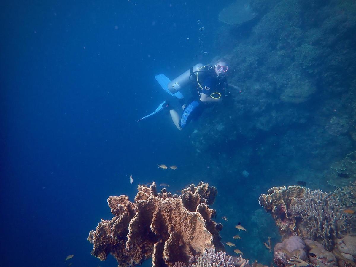Alegria Dive Resort Eksteriør billede